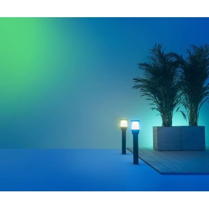 WiZ - Lampada da esterno dimmerabile LED RGBW ELPAS LED/4,8W/12/230V 2700-5000K IP65 Wi-Fi