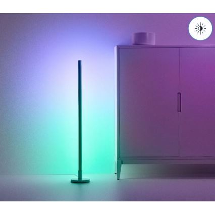 WiZ - Lampada da terra LED RGBW dimmerabile POLE LED/13W/230V 2200-6500K Wi-Fi