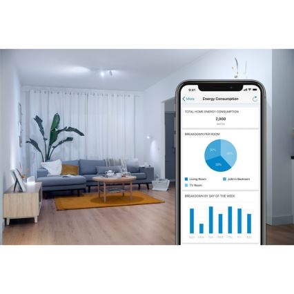 WiZ - Presa intelligente F 2300W + powermeter Wi-Fi SCHUKO