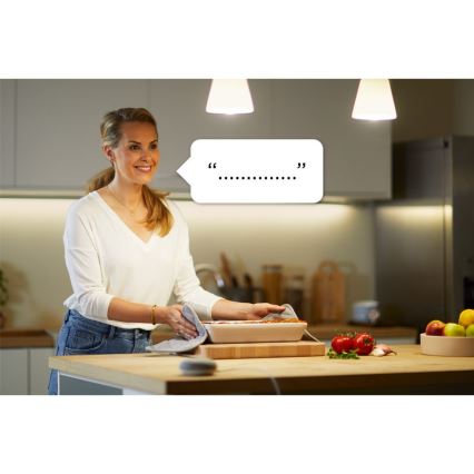 WiZ - Presa intelligente F 2300W + powermeter Wi-Fi SCHUKO