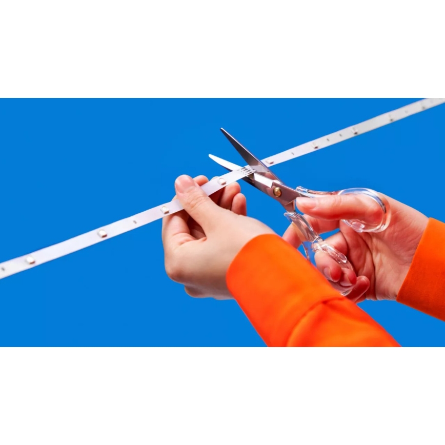 WiZ - Striscia LED RGBIC dimmerabile 4m LED/10,2W/5V 2700-6500K Wi-Fi