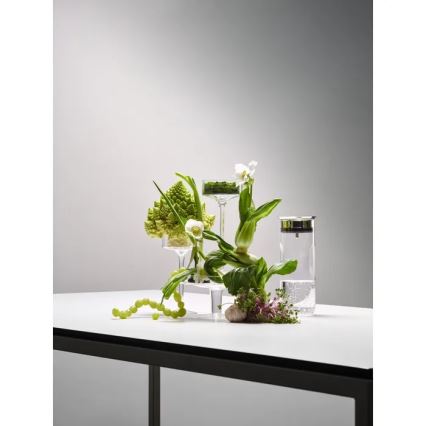 WMF - Caraffa per acqua MOTION 800 ml