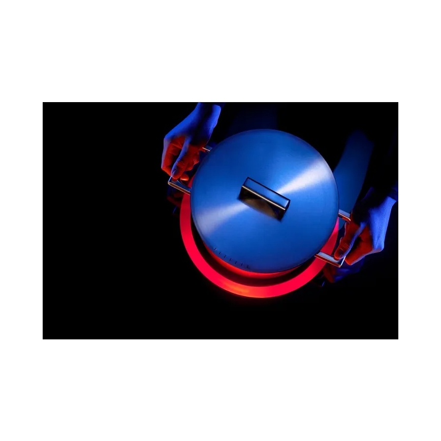 WMF - Pentola ULTIMATE COOL diam. 20 cm