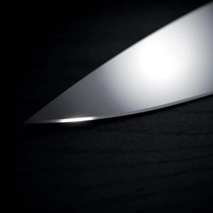 WMF - Set di coltelli da cucina con ceppo portacoltelli GRAND WOOD, 6 pezzi