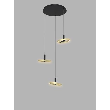 Wofi 5016-304 - Lampadario a sospensione con filo LED dimmerabile BREST LED/26W/230V nero/oro