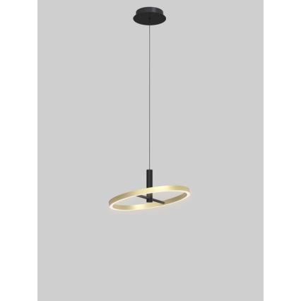 Wofi 6016-104L - Lampadario dimmerabile a sospensione con cavo BREST LED/19W/230V Ø 42 cm nero/oro
