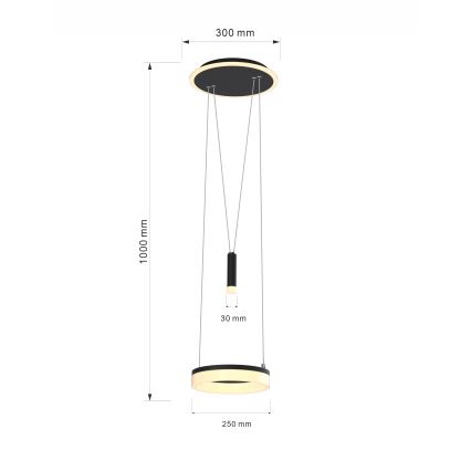 Wofi 6054-302 - Lampadario a sospensione con filo LED dimmerabile JESSE LED/15,5W/230V nero