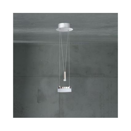 Wofi 6263.02.54.6250 - Lampadario a sospensione con filo LED dimmerabile JETTE LED/10W/230V + LED/1W