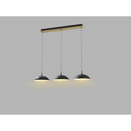 Wofi 7001-304 - Lampadario a sospensione con filo LED dimmerabile ROSCOFF LED/29W/230V nero/oro