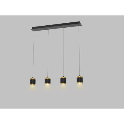 Wofi 7003-404 - Lampadario LED dimmerabile su cavo TOULOUSE 4xLED/8,5W/230V nero/oro