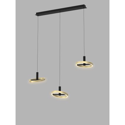 Wofi 7016-304 - Lampadario a sospensione con filo LED dimmerabile BREST LED/26W/230V nero/oro