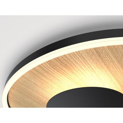 Wofi 9013-306S - Plafoniera LED dimmerabile REIMS LED/26W/230V