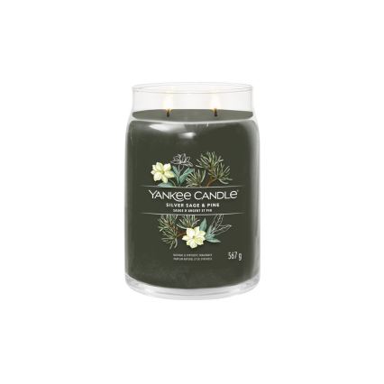 Yankee Candle - Candela profumata SILVER SAGE & PINE grande 567 g, 60-90 ore