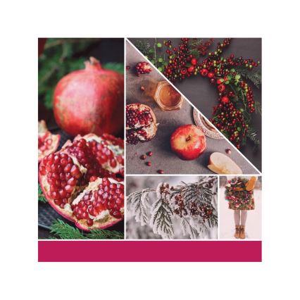 Yankee Candle - Candela profumata SPARKLING WINTERBERRY grande 567g 60-90 ore.