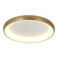 Zambelis 2050 - Plafoniera LED dimmerabile LED/50W/230V diametro 60 cm oro