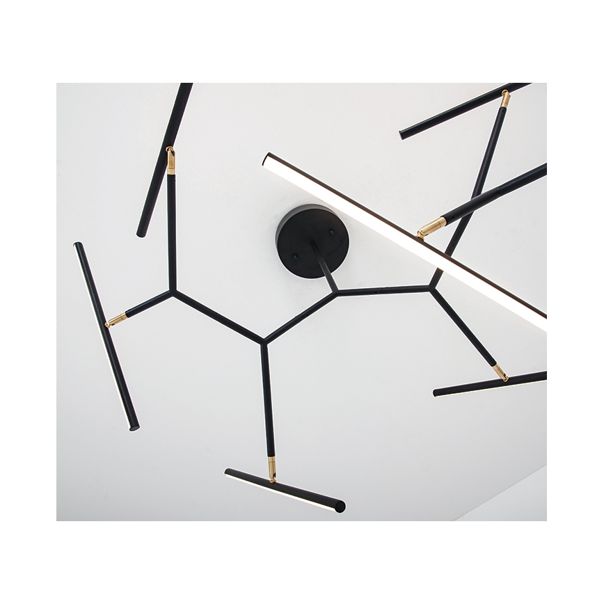 Zambelis 2072 - Lampadario a sospensione con supporto rigido LED dimmerabile LED/68W/230V nero