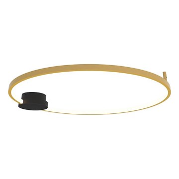 Zambelis 23097 - Lampada da soffitto dimmerabile a LED LED/32W/230V 3000K diam. 80 cm oro