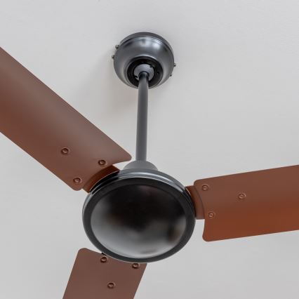 ZEVENTI - Ventilatore da soffitto TOFINO marrone