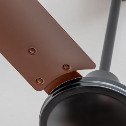 ZEVENTI - Ventilatore da soffitto TOFINO marrone