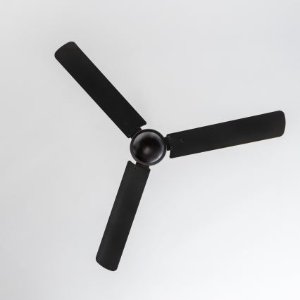 ZEVENTI - Ventilatore da soffitto TOFINO nero