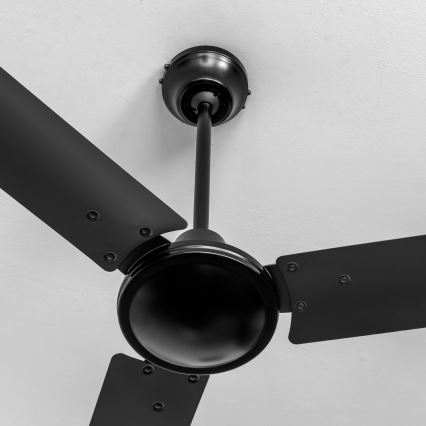 ZEVENTI - Ventilatore da soffitto TOFINO nero