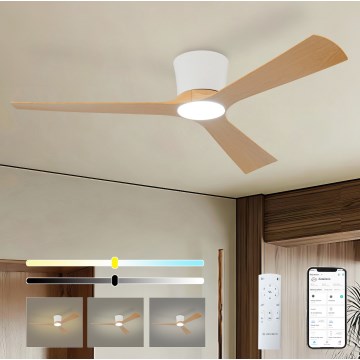 ZEVENTI - Ventilatore da soffitto dimmerabile AUREX LED/24W/230V 3000/4000/6000K Wi-Fi Tuya bianco/rovere + telecomando