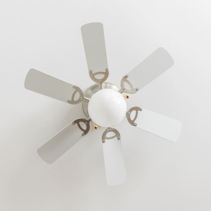 ZEVENTI - Ventilatore da soffitto GALDANA 1xE27/60W/230V grigio/bianco