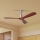 ZEVENTI - Ventilatore da soffitto LIONI Wi-Fi Tuya cromo opaco/quercia + telecomando