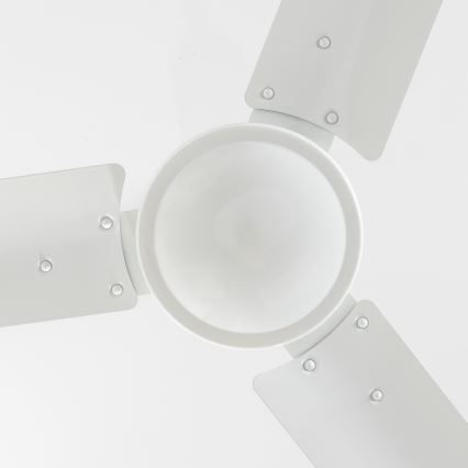 ZEVENTI - Ventilatore da soffitto TOFINO bianco