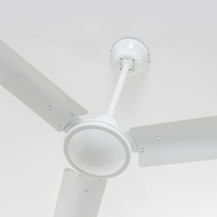 ZEVENTI - Ventilatore da soffitto TOFINO bianco