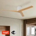 ZEVENTI - Ventilatore da soffitto VELLON Wi-Fi Tuya bianco/paulownia + telecomando