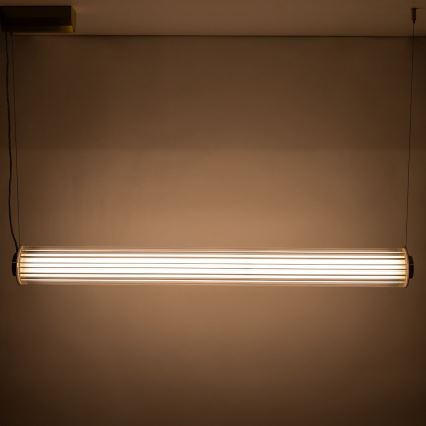 Zuma Line - Lampadario dimmerabile a cavo LED/39W/230V 2700-6500K oro + telecomando