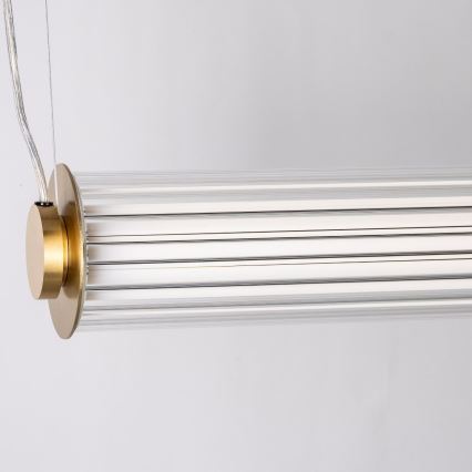 Zuma Line - Lampadario dimmerabile a cavo LED/39W/230V 2700-6500K oro + telecomando