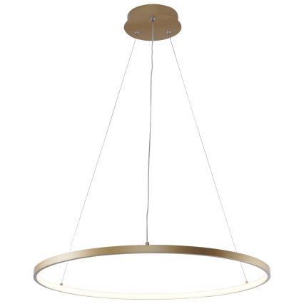 Zuma Line - Lampadario LED a sospensione con filo LED/28W/230V 3000/4000/6000K diametro 60 cm oro