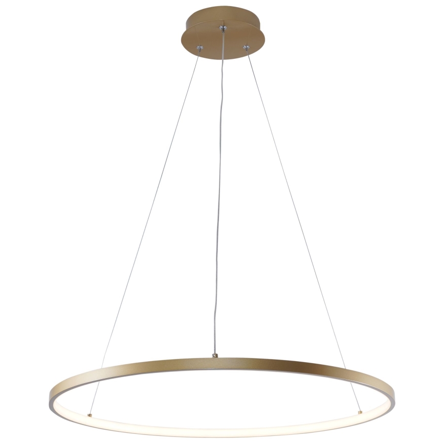 Zuma Line - Lampadario LED a sospensione con filo LED/28W/230V 3000/4000/6000K diametro 60 cm oro