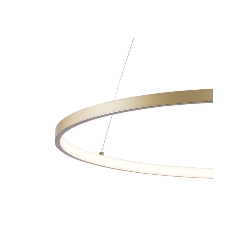 Zuma Line - Lampadario LED a sospensione con filo LED/28W/230V 3000/4000/6000K diametro 60 cm oro