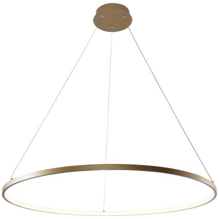 Zuma Line - Lampadario LED su cavo LED/36W/230V 3000/4000/6000K diam. 80 cm oro