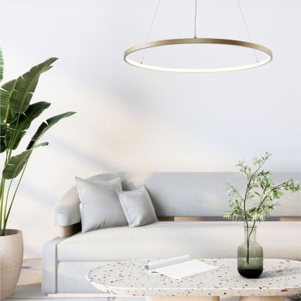 Zuma Line - Lampadario LED su cavo LED/36W/230V 3000/4000/6000K diam. 80 cm oro