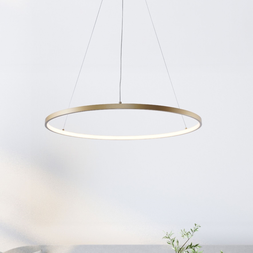Zuma Line - Lampadario LED su cavo LED/36W/230V 3000/4000/6000K diam. 80 cm oro