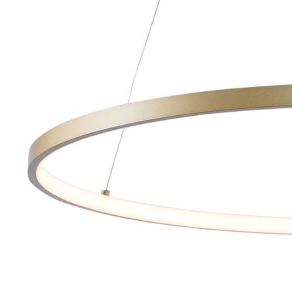 Zuma Line - Lampadario LED su cavo LED/36W/230V 3000/4000/6000K diam. 80 cm oro