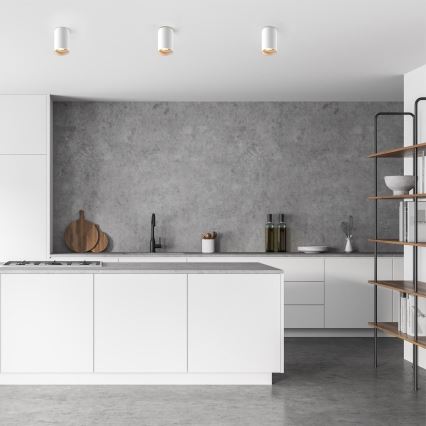 Zuma Line - Faretto LED RGBW dimmerabile 1xGU10/6W/230V bianco + telecomando