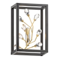 Zuma Line - Applique 1xG9/33W/230V nero/oro
