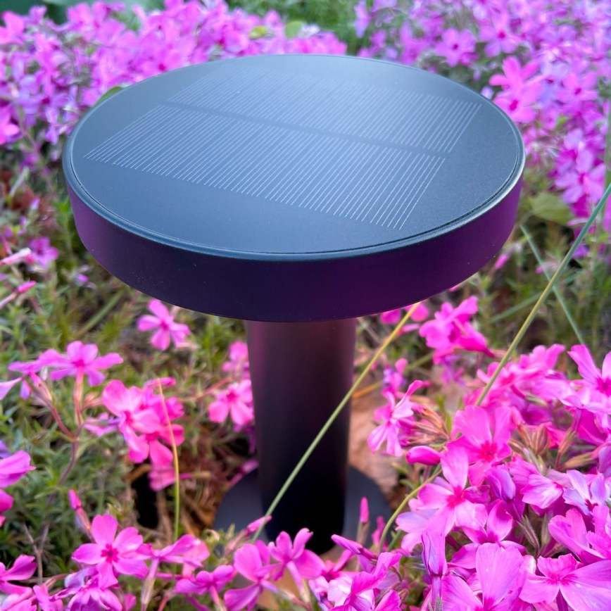 Zuma Line - Lampada da tavolo solare dimmerabile LED/2W/2000 mAh IP44 nero