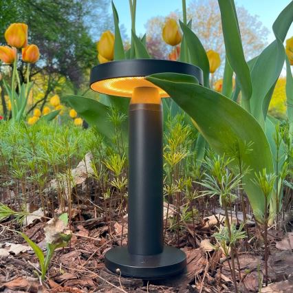 Zuma Line - Lampada da tavolo solare dimmerabile LED/2W/2000 mAh IP44 nero
