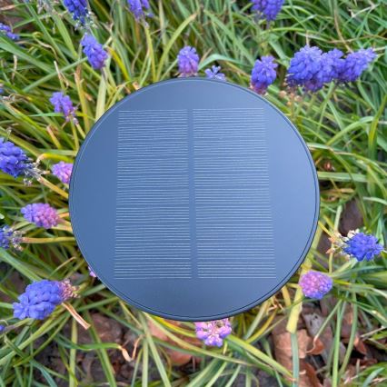 Zuma Line - Lampada da tavolo solare dimmerabile LED/2W/2000 mAh IP44 nero