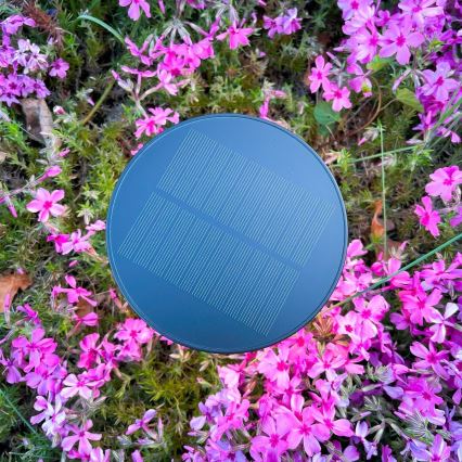 Zuma Line - Lampada da tavolo solare dimmerabile LED/2W/2000 mAh IP44 nero