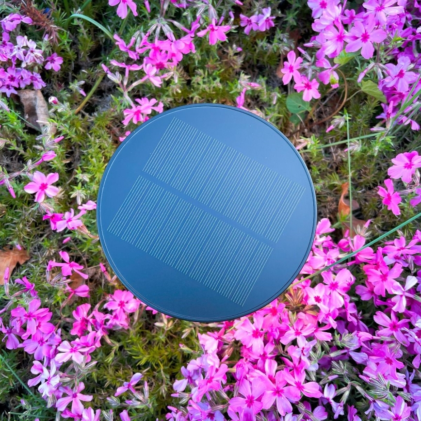 Zuma Line - Lampada da tavolo solare dimmerabile LED/2W/2000 mAh IP44 nero