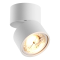 Zuma Line - Faretto 1xGU10-ES111/15W/230V bianco