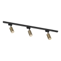 Zuma Line - Faretto per sistema 3xGU10/35W/230V nero/oro