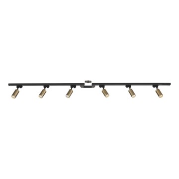 Zuma Line - Faretto per sistema a binario 6xGU10/35W/230V nero/oro